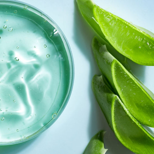 Waar aloe vera gel voor gebruiken?